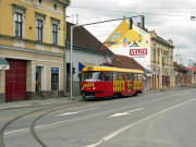 050703ty050-tn.jpg