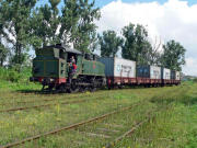 050704ty003-tn.jpg