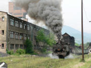 050705ty020-tn.jpg