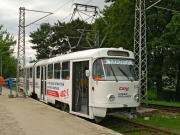 050705ty133-tn.jpg