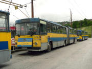 050706ty108-tn.jpg