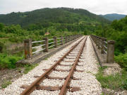 050706ty338-tn.jpg