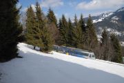 100305mk017-tn.jpg