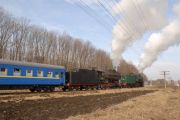 dsc0053-tn.jpg