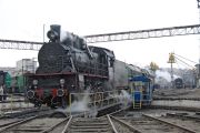 dsc0086-tn.jpg