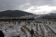 dsc0173-tn.jpg