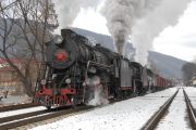 dsc0188-tn.jpg