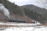 dsc0191-tn.jpg