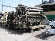 tom03-tn.jpg