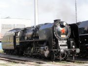 tom18-tn.jpg