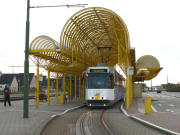 050901ty16-tn.jpg