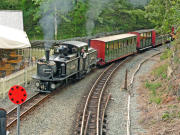050908ty29-tn.jpg