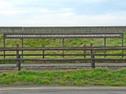 050909ty095-tn.jpg