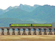 050909ty112-tn.jpg