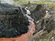 080711ty069-tn.jpg