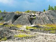 080711ty138-tn.jpg