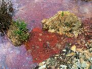 080722svk629-tn.jpg