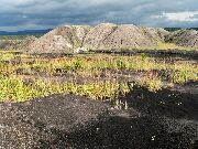 080722ty045-tn.jpg