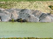 080723ty37-tn.jpg