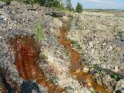 080727ty175-tn.jpg