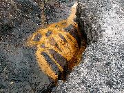 080920ty013-tn.jpg