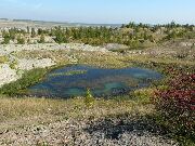 080928ty020-tn.jpg