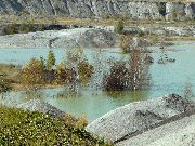 080928ty033-tn.jpg