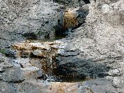 080929ty011-tn.jpg