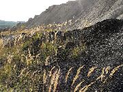 081019svk0501-tn.jpg