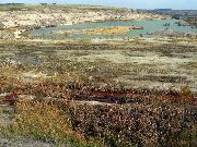 081019svk0515-tn.jpg