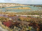 081019svk0587-tn.jpg