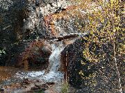 081019ty104-tn.jpg