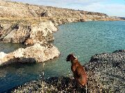 081203svk316-tn.jpg