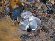 081228ty023-tn.jpg