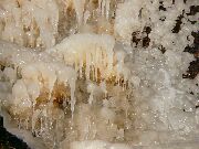 081228ty095-tn.jpg