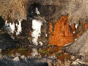 081230ty028-tn.jpg