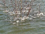 081230ty047-tn.jpg
