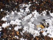090110svk13-tn.jpg